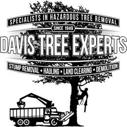 Tree Services Davis Tree Experts Vidor TX Beaumont TX