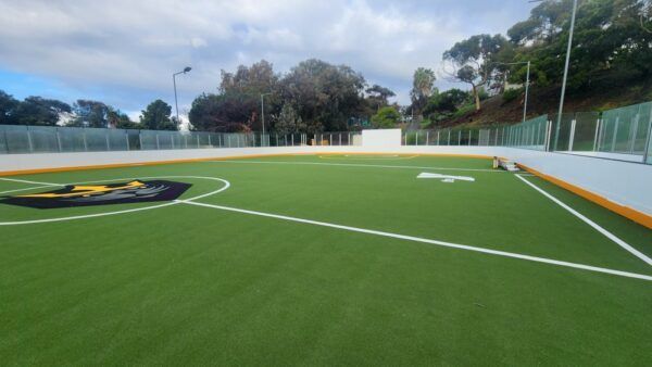 A soccer field with a white line on it