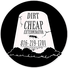 Dirt Cheap Exterminators logo
