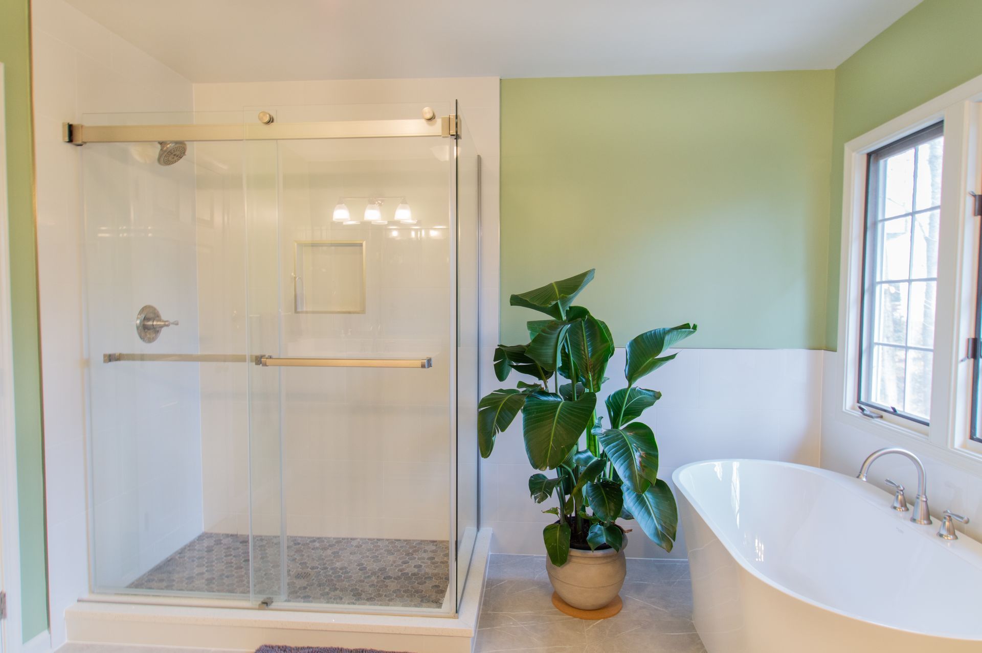 Bathroom with glass shower, white tub, and green walls; a large potted plant stands beside the tub.