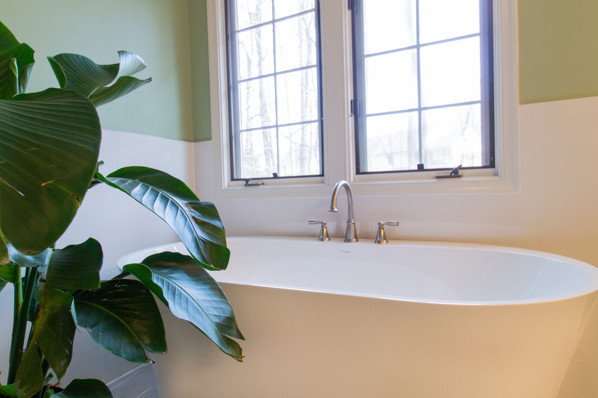 Freestanding bathtub by a window in a bathroom with a large green houseplant.