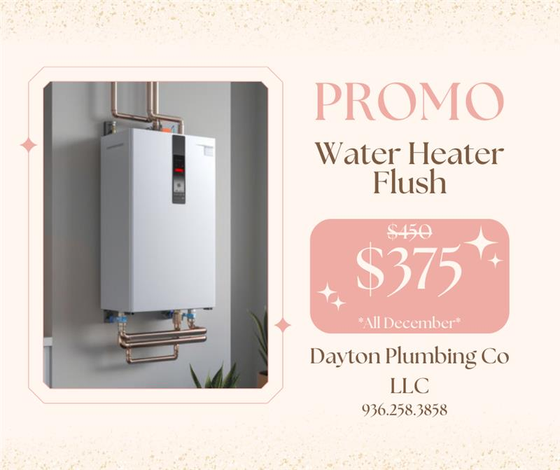 Promotional flyer for Dayton Plumbing Co. offering a water heater flush for $375 during December. Includes a tankless heater.