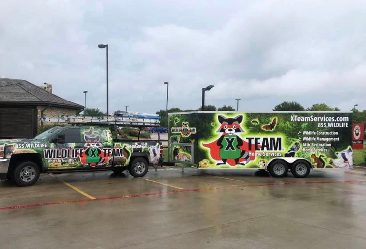 Green monster truck and trailer with X Team graphics parked on a wet lot under cloudy skies