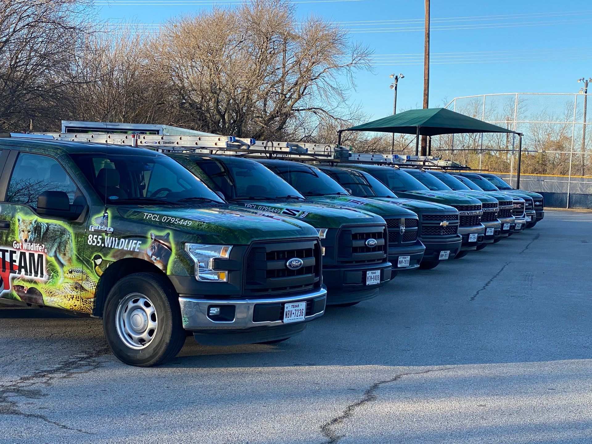Row of black pickup trucks parked outdoors beside a green umbrella and chain-link fence