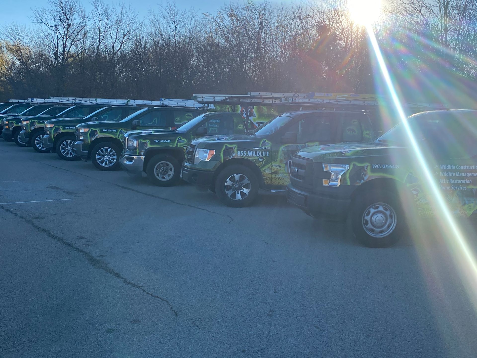 Row of dark SUVs parked outdoors in bright sunlight near leafless trees