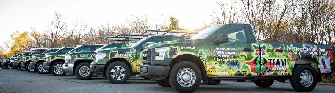 Line of decorated off-road trucks parked outdoors, with colorful graphics and team branding.