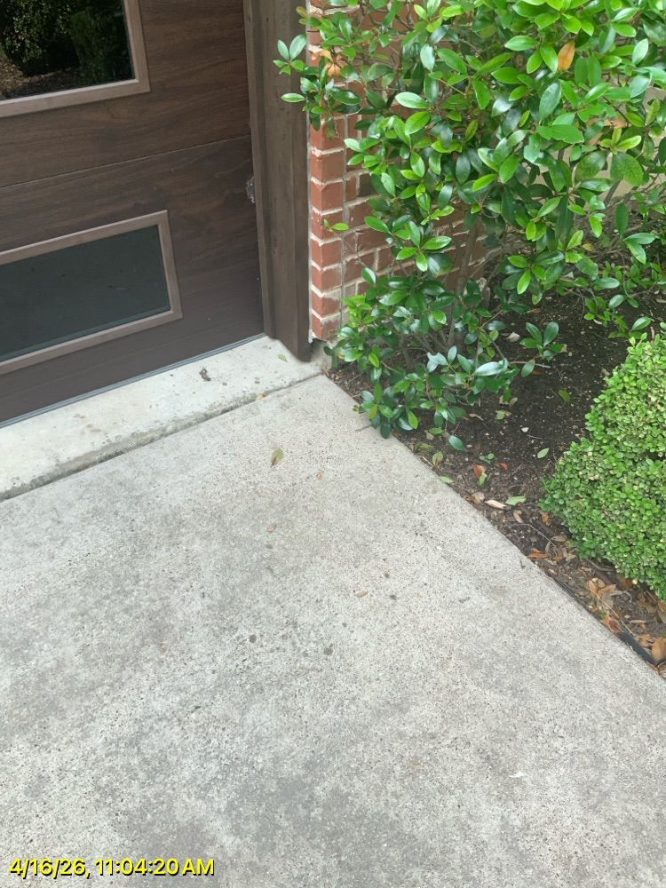 Concrete walkway beside a brick wall and bushes next to a dark brown door.