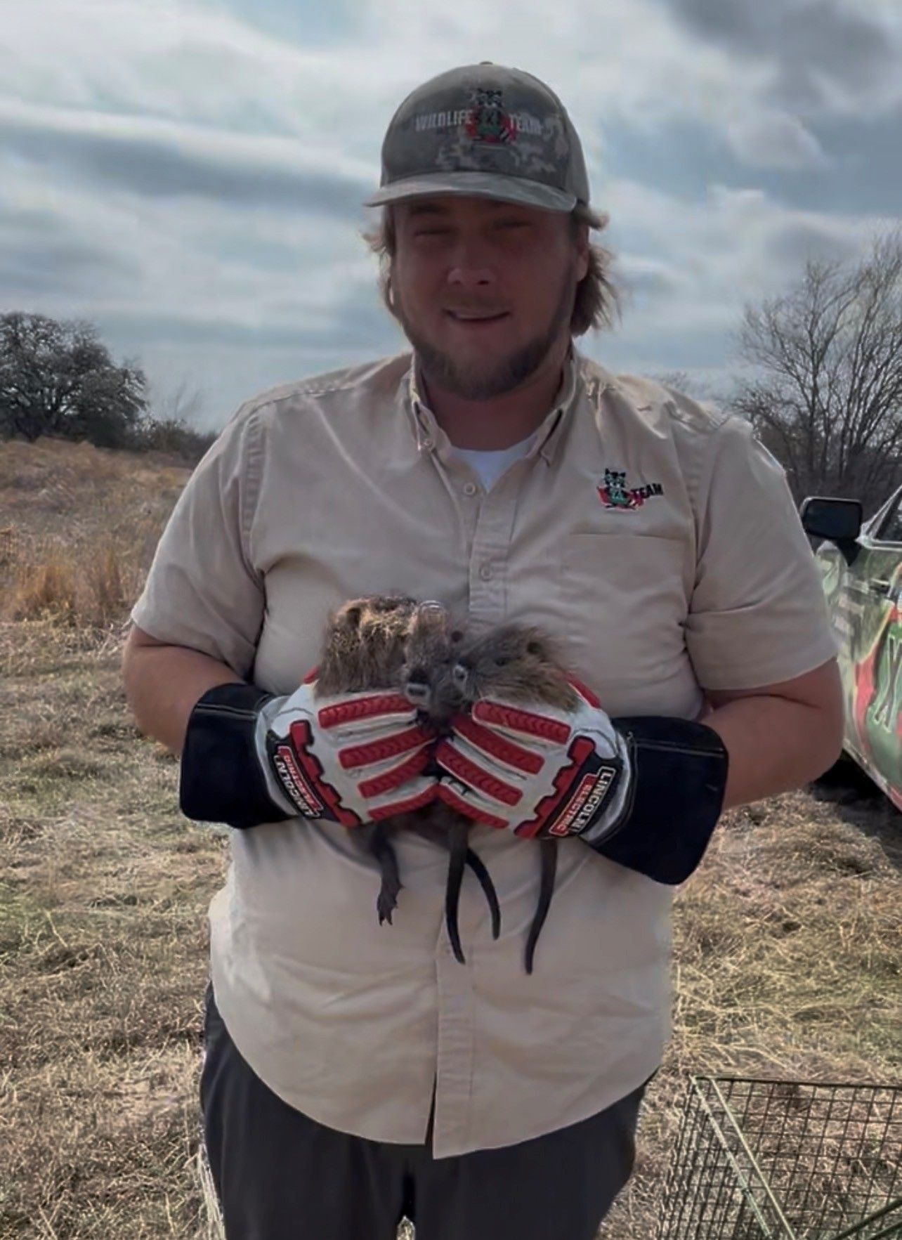 Person in gloves holds a small animal outdoors in a grassy field under a cloudy sky.