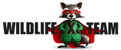 Wildlife Team logo with a raccoon mascot in a green suit holding a ball