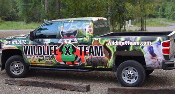 Wildlife X Team pickup truck with colorful animal graphics parked outdoors