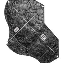 A black and white photo of a rock with measurements on it