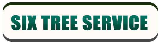 Six Tree Service