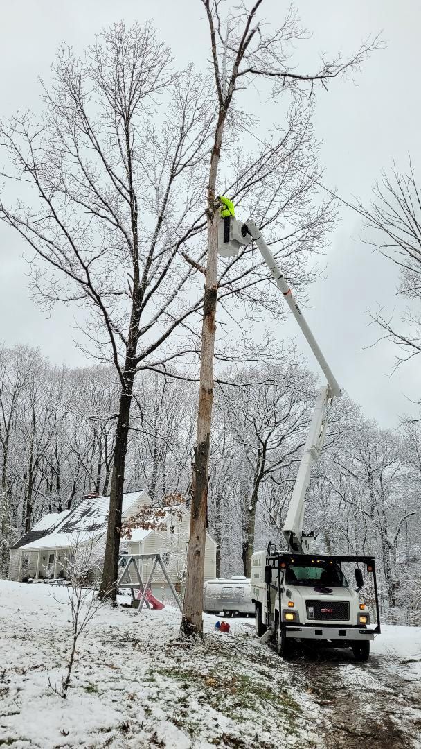 A utility worker in a cherry picker bucket works on a tall, snow-covered tree near a house on a winter day.