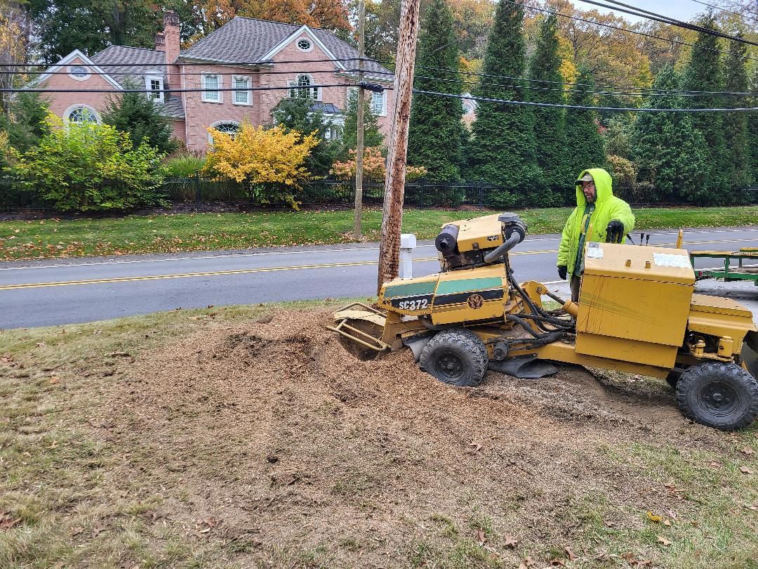 A worker in a high-visibility yellow jacket operates a yellow stump grinder on a lawn near a road and a suburban house.