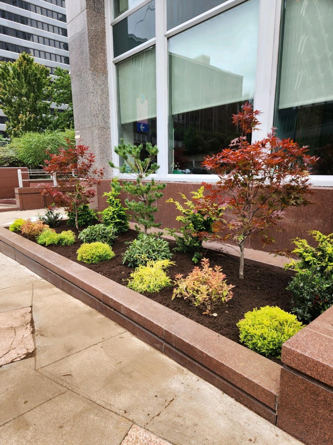 A stone planter box filled with assorted red and bright green shrubs in front of a modern building with large windows.