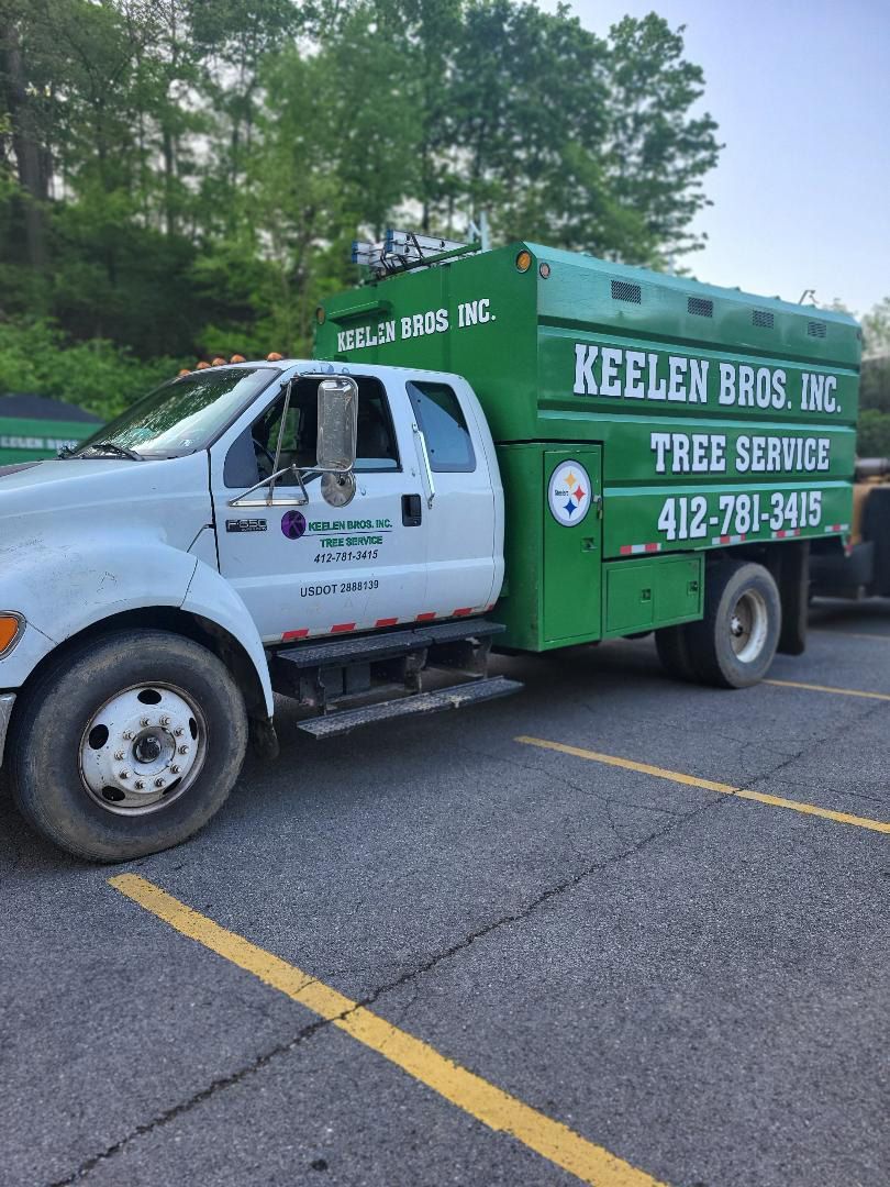 A white and green Keelen Bros Inc. tree service truck parked in an asphalt lot with yellow painted lines.