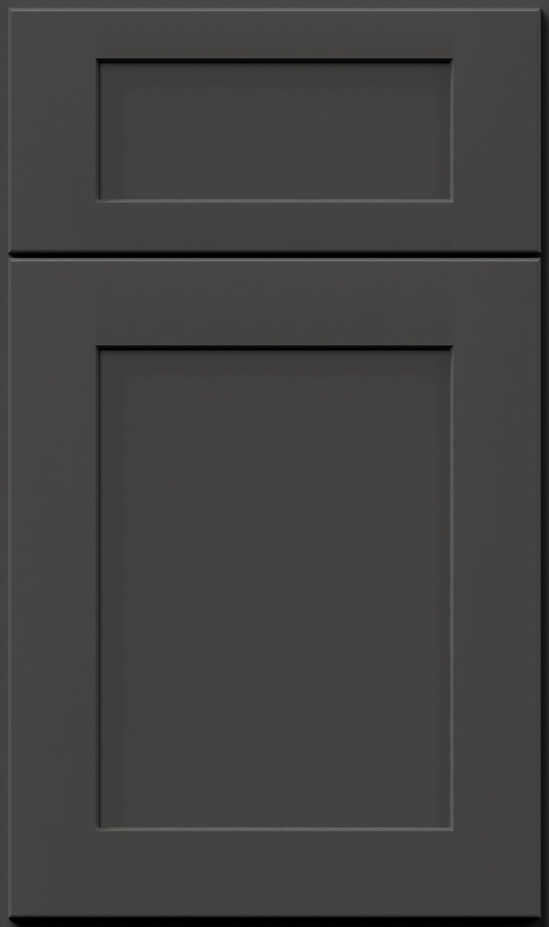 Dark gray shaker-style cabinet door with raised panel.