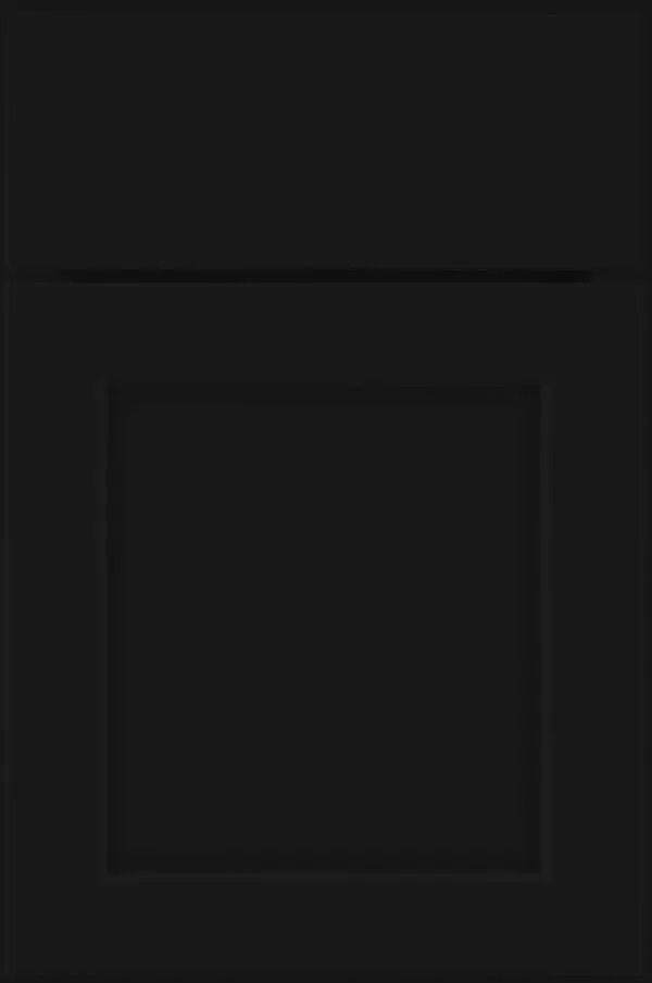 Black shaker-style cabinet door with a recessed square panel.