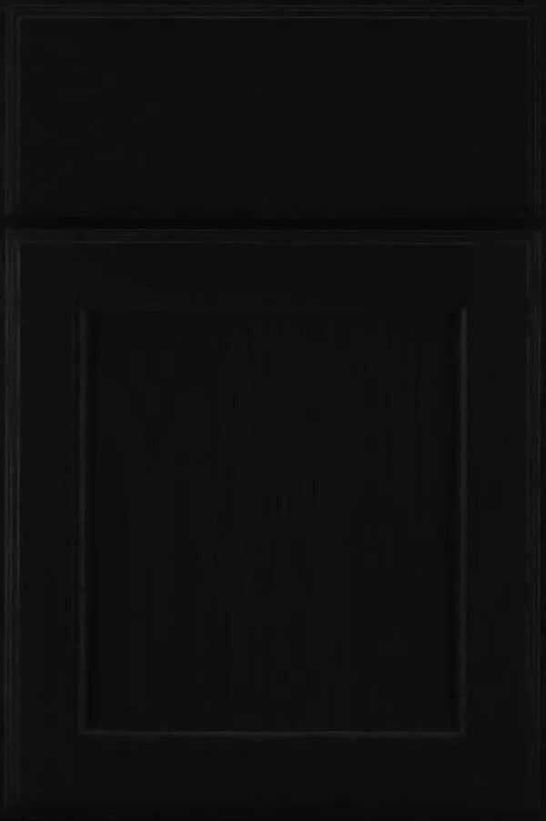 Black cabinet door with recessed panel.