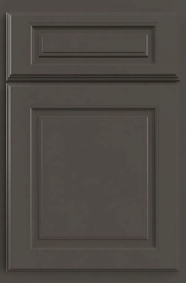 Gray kitchen cabinet door with raised panel and rectangular details.