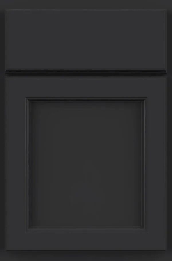 Black cabinet door with recessed panel.