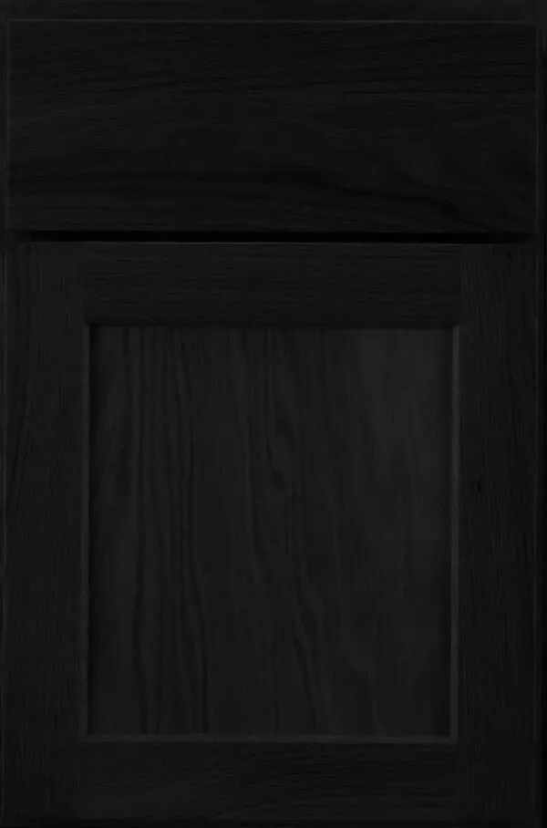 Black wooden cabinet door with recessed panel.