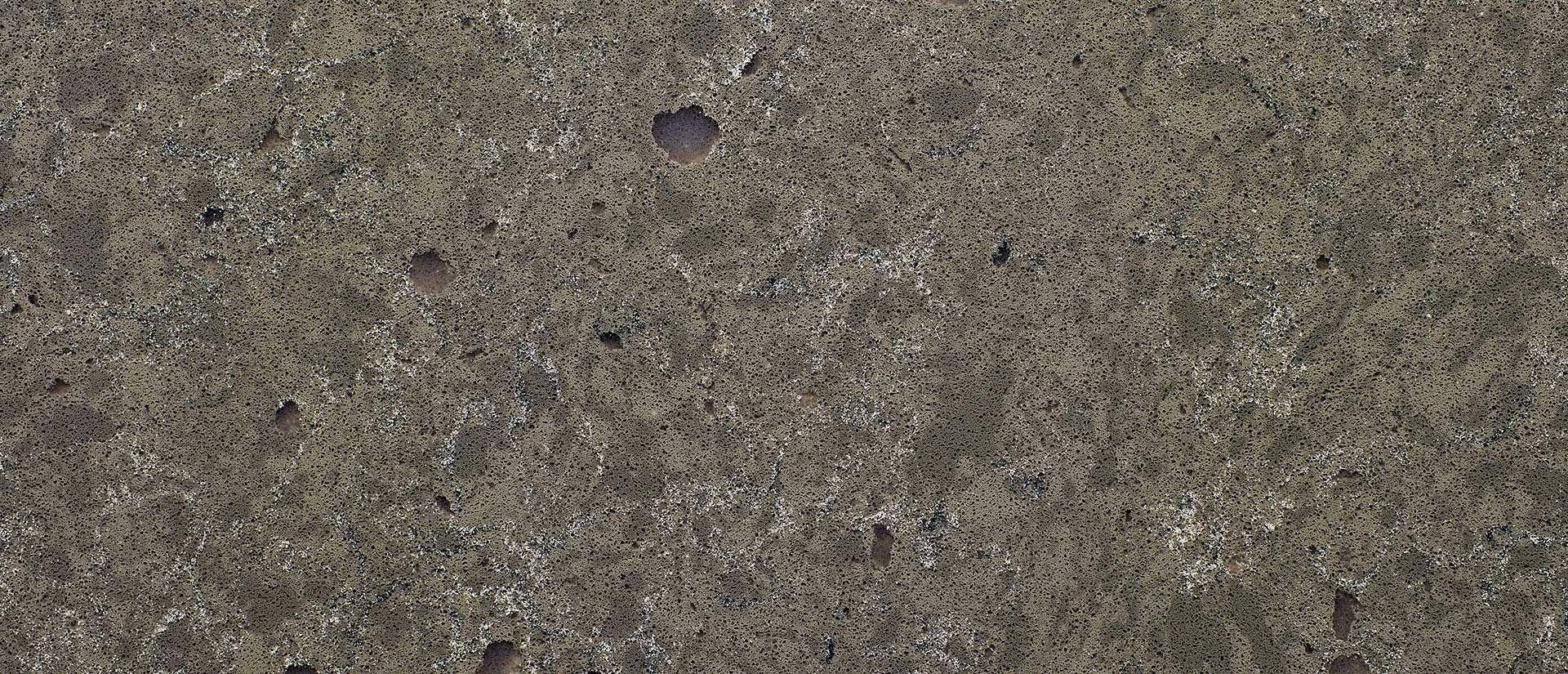 Close-up of a textured, grey-brown surface with small variations in color and texture.