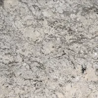 White granite countertop with gray and black veining.