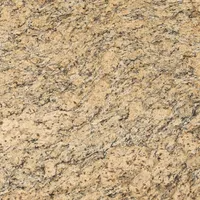 Golden granite countertop with swirling patterns and dark speckles.