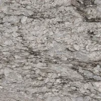 White granite countertop with gray and black veining.