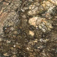 Close-up of a mottled rock surface with shades of brown, gray, and cream.