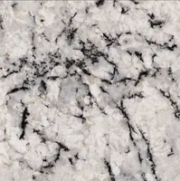 White and gray granite surface with black veining.