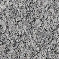 Gray granite with speckled and textured surface.