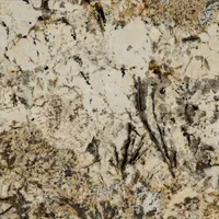 Cream, tan, and black granite countertop with textured patterns and veining.