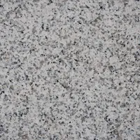 Gray and white speckled granite surface.