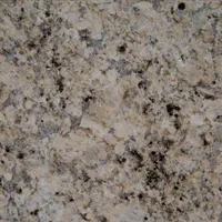 Granite countertop with speckled tan, black, and gray mineral patterns.