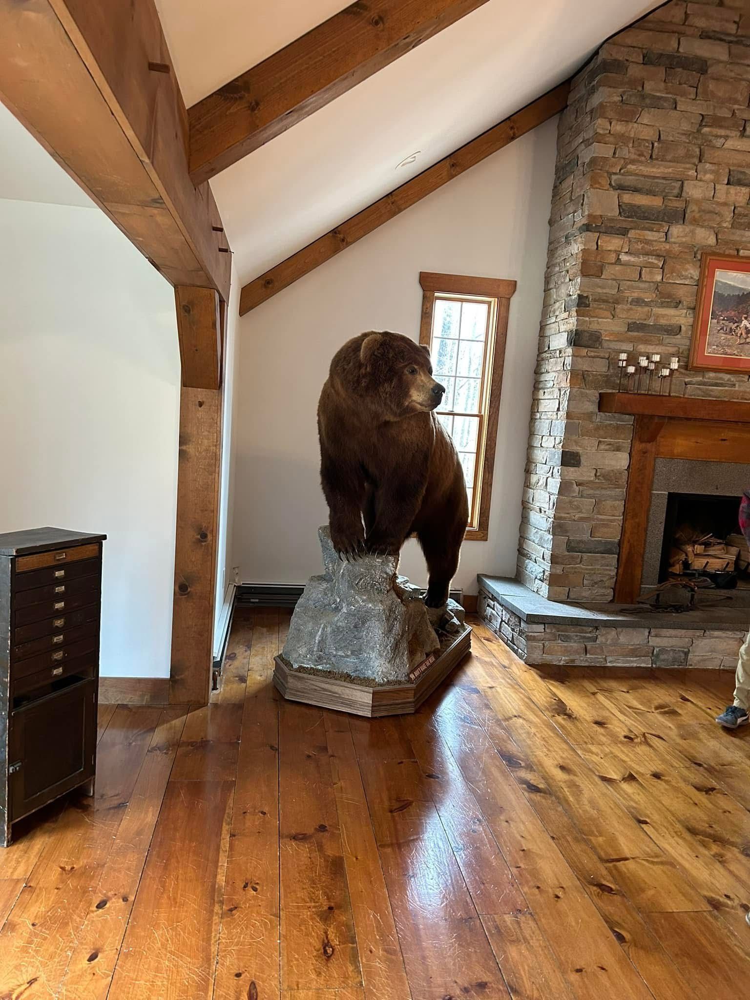 A stuffed bear is sitting on top of a rock in a living room.