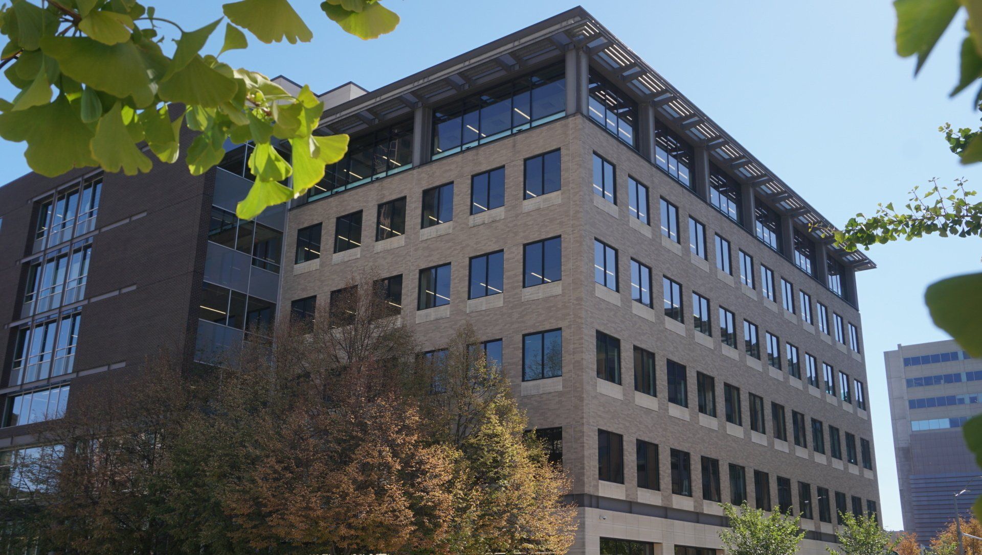 Landscaping accessories