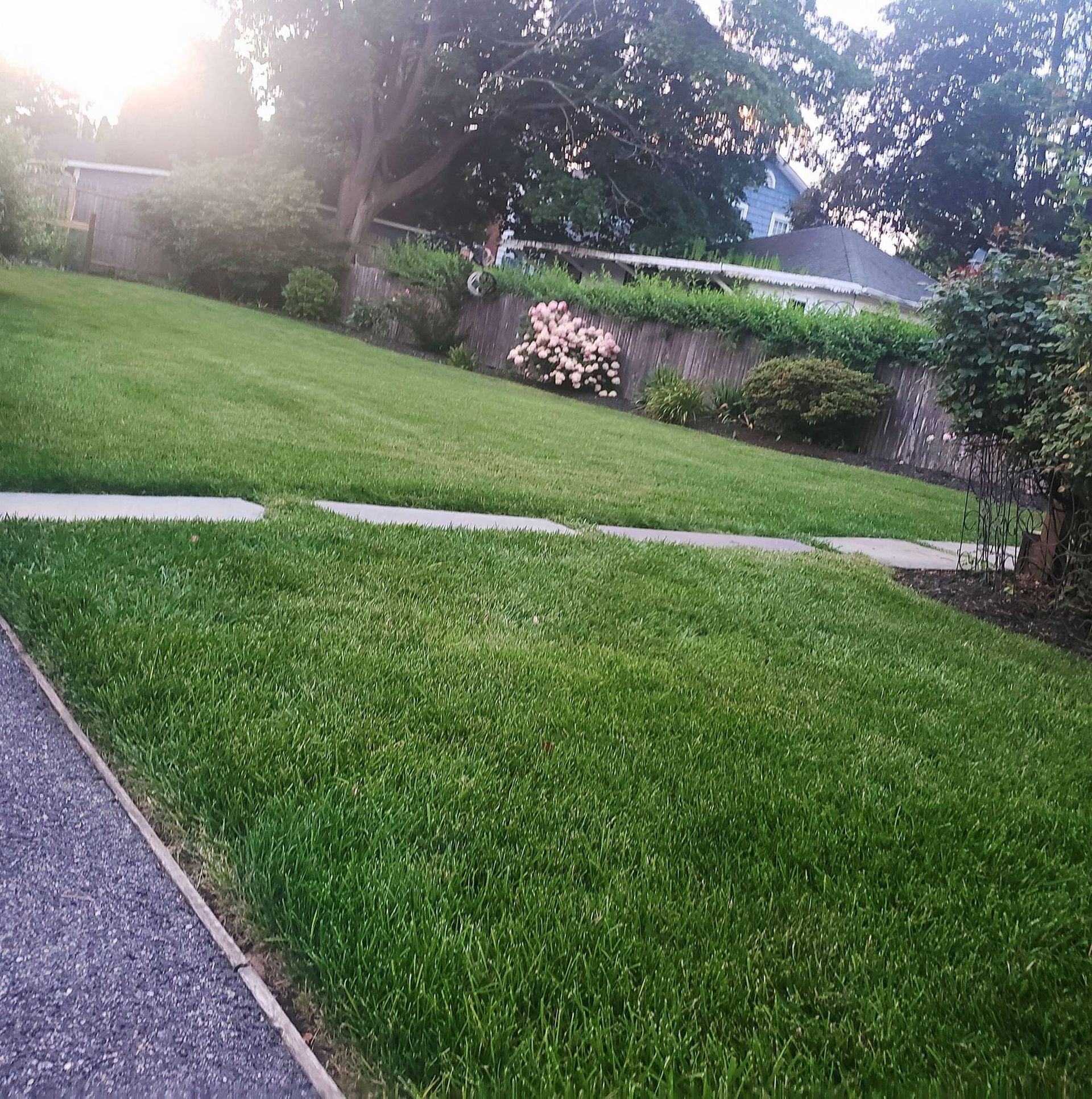 Irrigation Fresh Green Grass Lawn Sprinklers Long Island