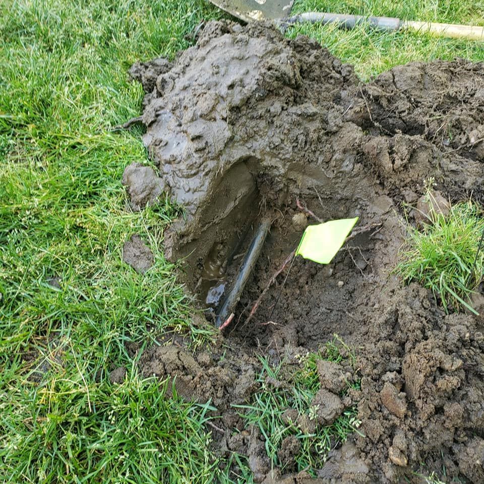 Irrigation Fresh Green Grass Lawn Sprinklers Long Island