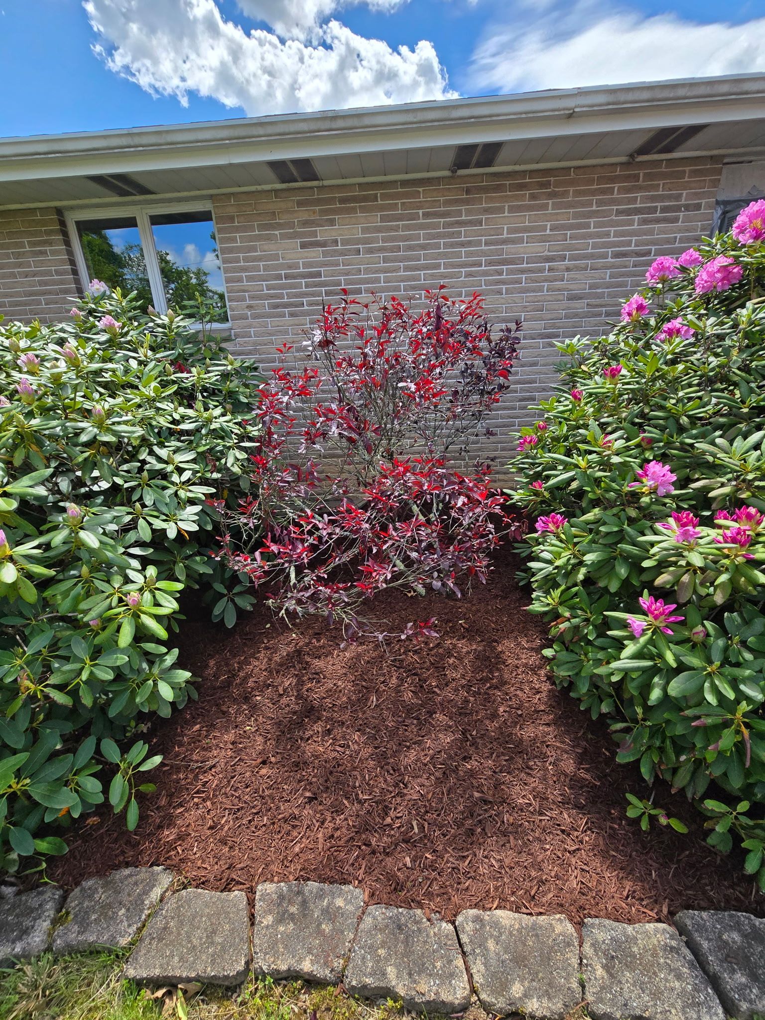 Landscaped garden bed with red and green plants, brown mulch, and brick house siding.
