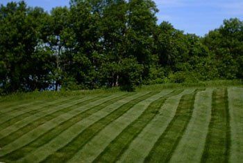 Green lawn with striped mowing pattern, trees in the background, blue sky visible.