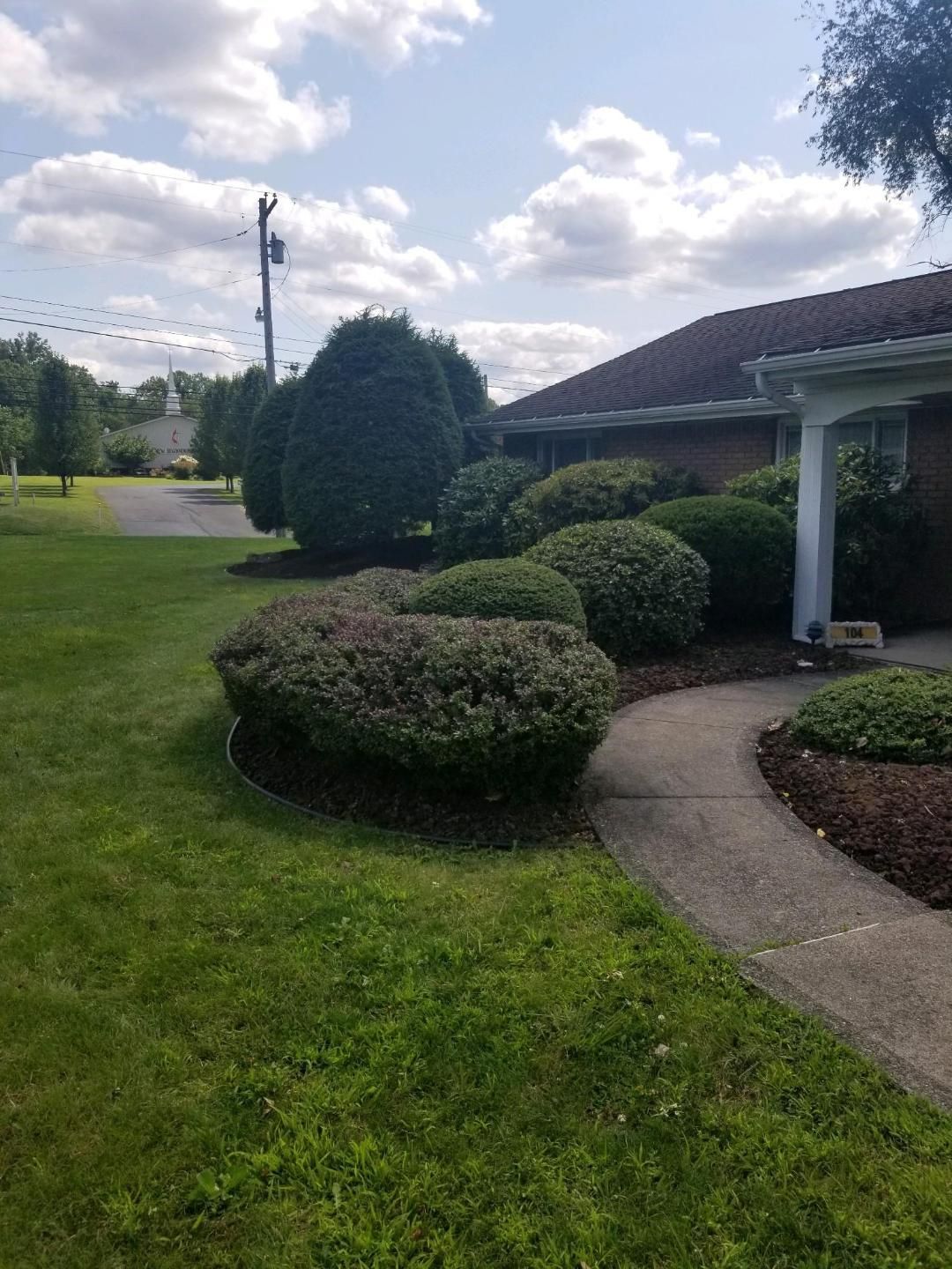 Lush green lawn with trimmed shrubs in a garden bed beside a concrete pathway leading to a building.