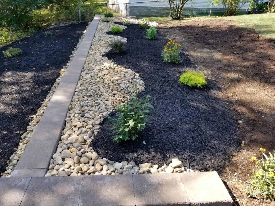 Landscaped garden bed with black mulch, rocks, and various green plants, bordered by gray pavers.