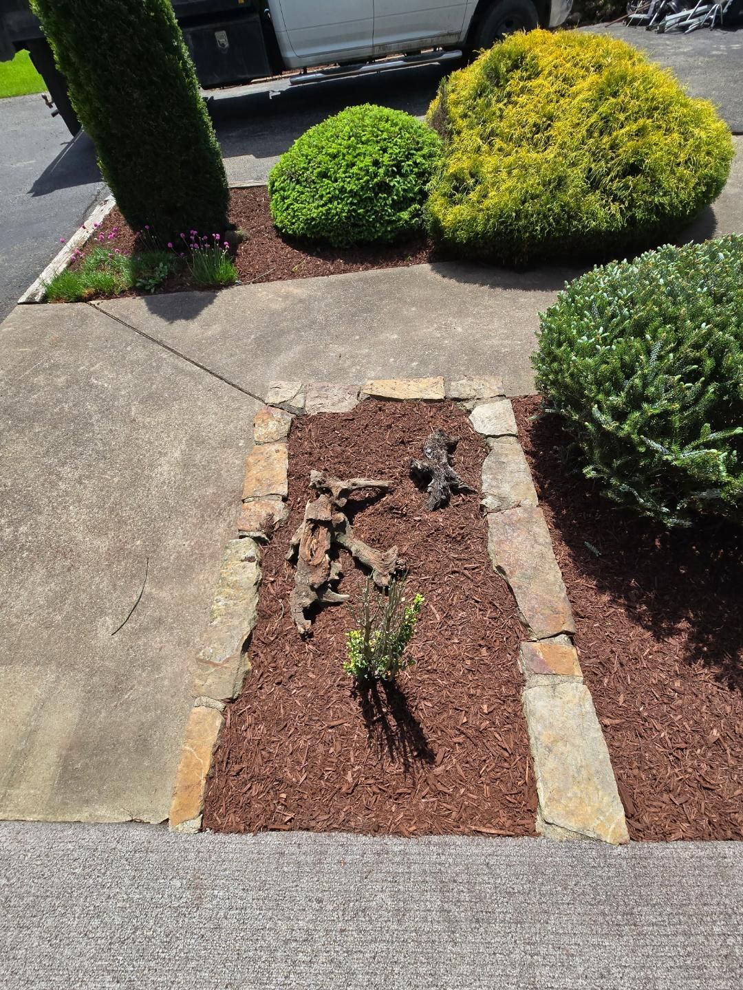 Mulched garden beds with green and yellow shrubs, bordered by stone and concrete sidewalk.