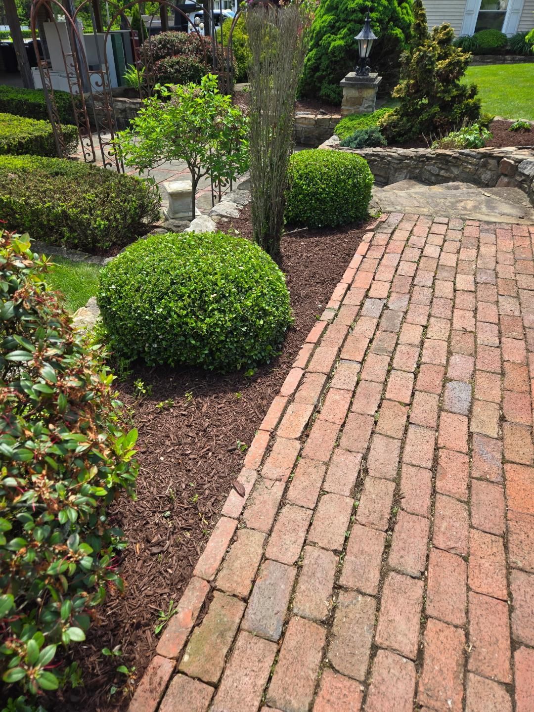 Brick walkway borders a garden bed with trimmed green shrubs and mulch.