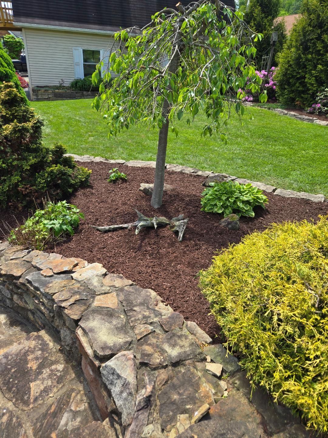 Stone retaining wall with a mulch-covered garden featuring a small tree and various shrubs, grass lawn in the background.
