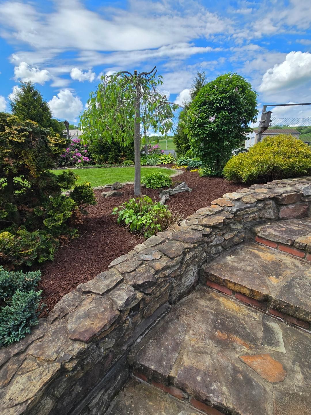 Stone steps lead up to a garden with trees, bushes, and a blue sky.