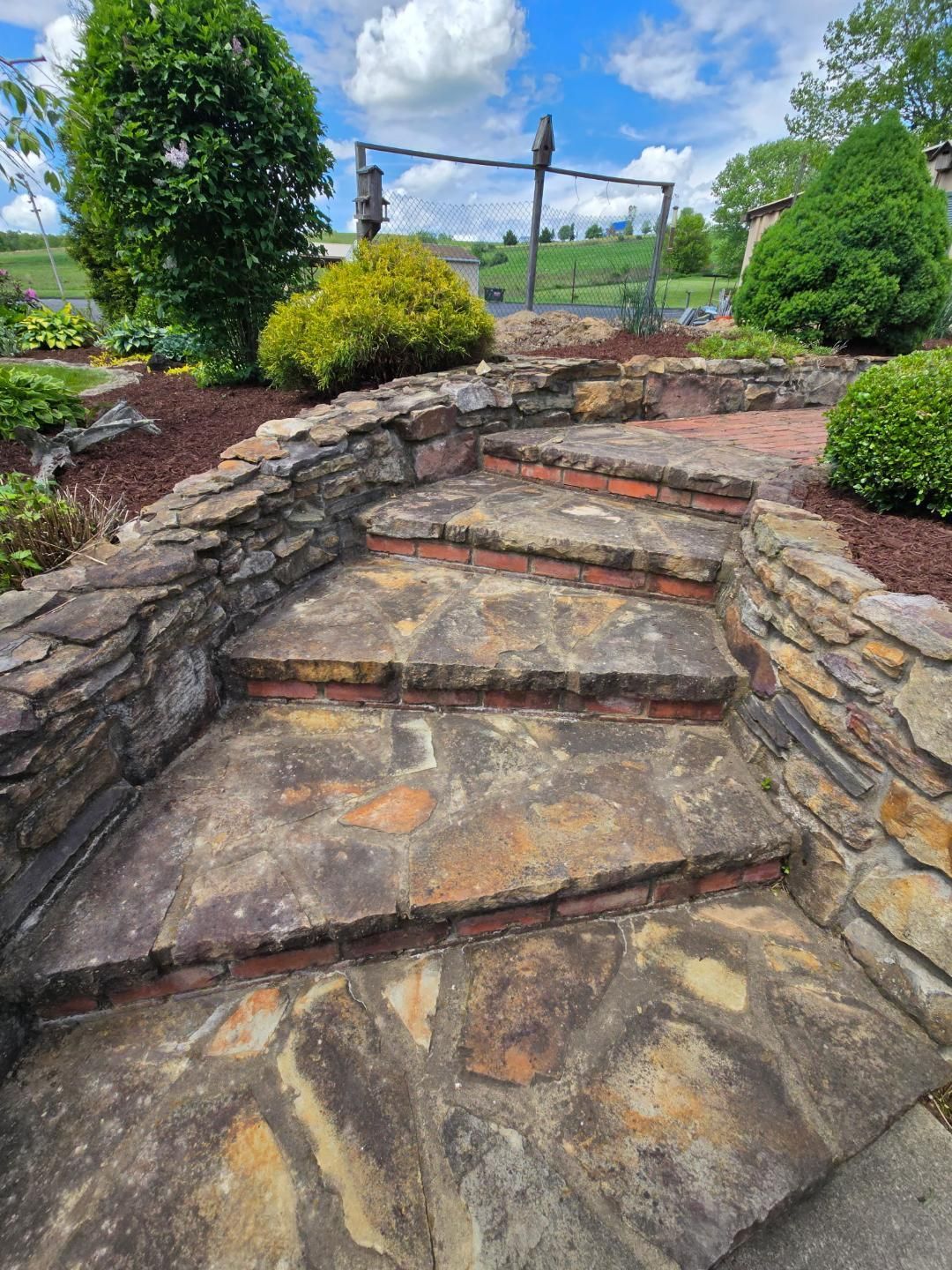 Stone steps in a garden with mulch, bushes, and a metal structure in the background under a blue sky.