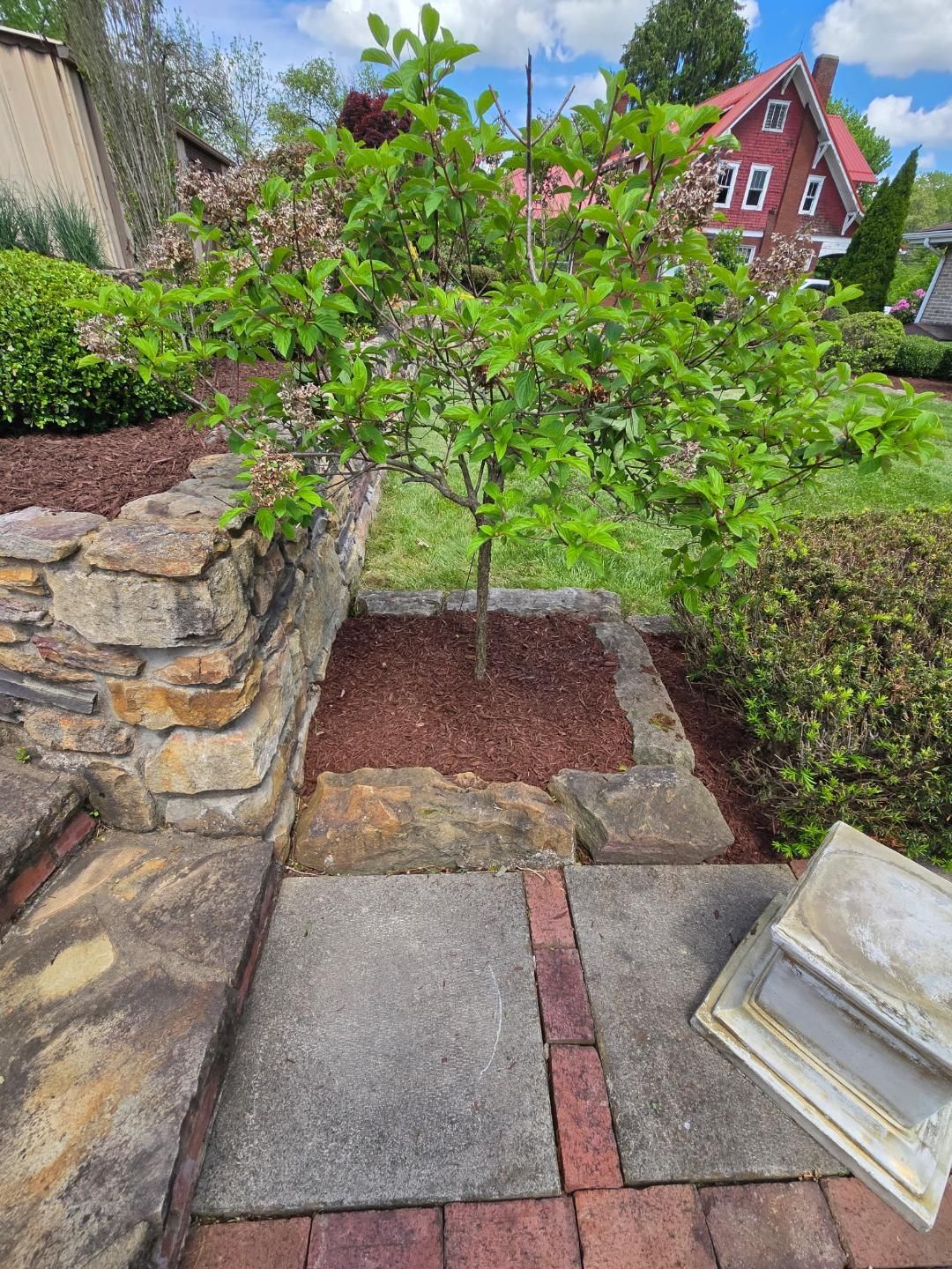 Small tree in mulch bed, stone steps, brick trim, a red house in background.
